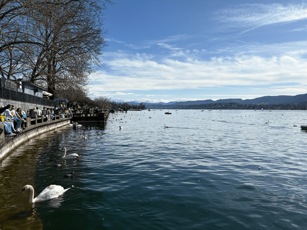Zurich lake with the Alps on the horizon
